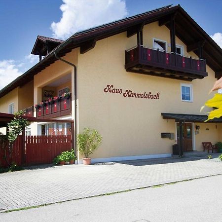 شقة Haus Himmelsbach باد فسينغ المظهر الخارجي الصورة